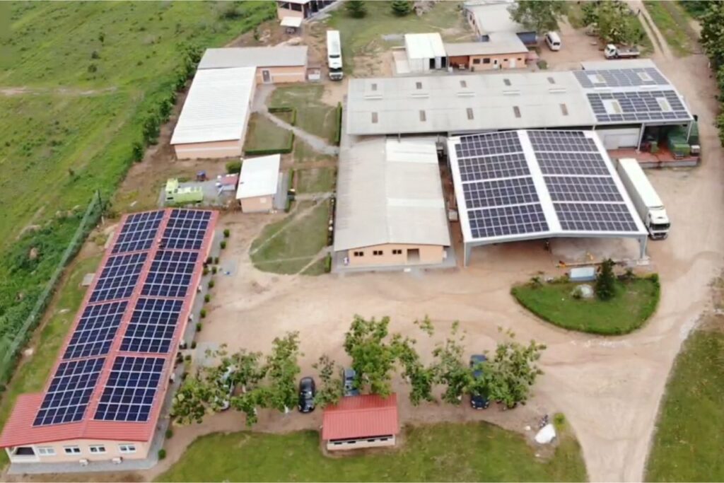 Peelco Fruits, Central Region – 227kWp